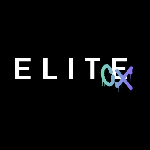 EliteCX.ai logo