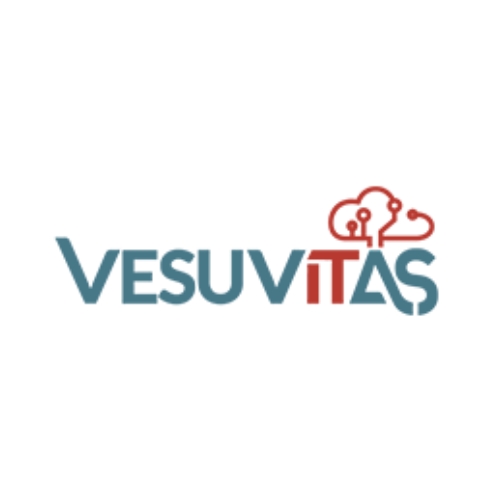 VesuvITas logo